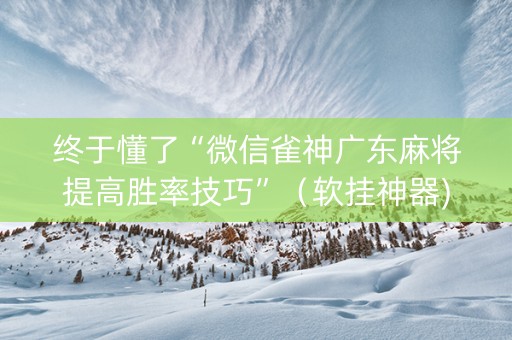 终于懂了“微信雀神广东麻将提高胜率技巧”（软挂神器)