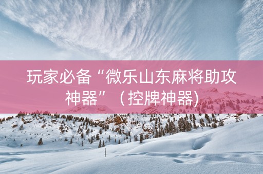 玩家必备“微乐山东麻将助攻神器”（控牌神器)
