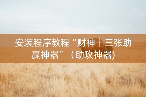 安装程序教程“财神十三张助赢神器”（助攻神器)