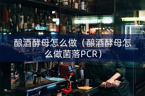 酿酒酵母怎么做（酿酒酵母怎么做菌落PCR）