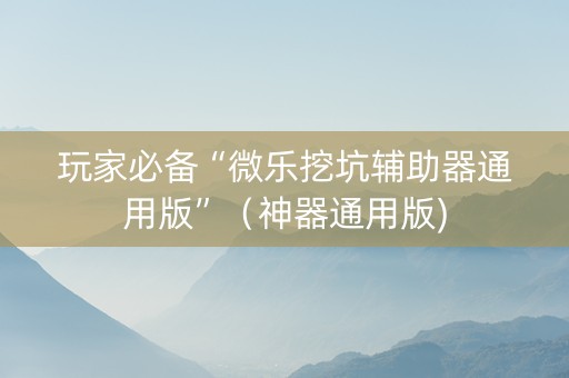 玩家必备“微乐挖坑辅助器通用版”（神器通用版)