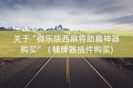 关于“微乐陕西麻将助赢神器购买”（辅牌器插件购买)