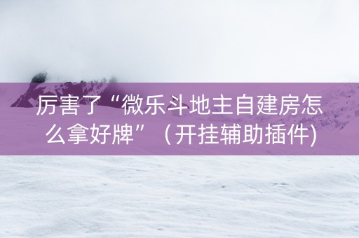 厉害了“微乐斗地主自建房怎么拿好牌”（开挂辅助插件)