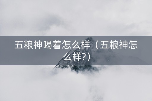 五粮神喝着怎么样（五粮神怎么样?）