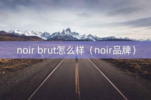 noir brut怎么样（noir品牌）