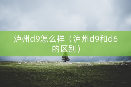 泸州d9怎么样（泸州d9和d6的区别）