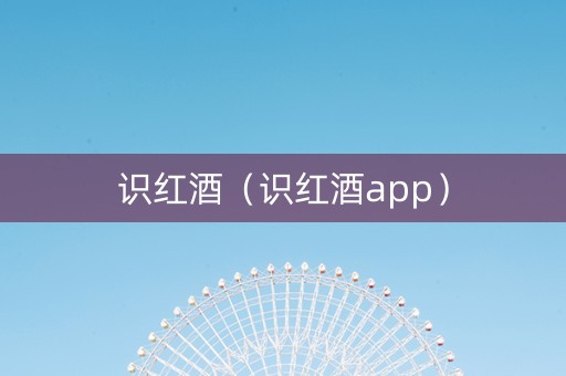 识红酒（识红酒app）