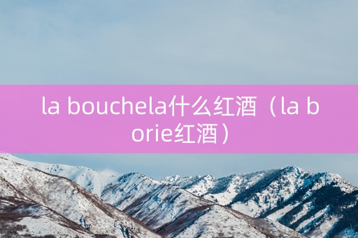 la bouchela什么红酒（la borie红酒）