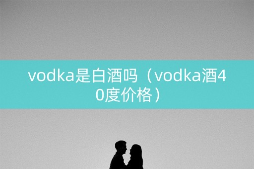 vodka是白酒吗（vodka酒40度价格）