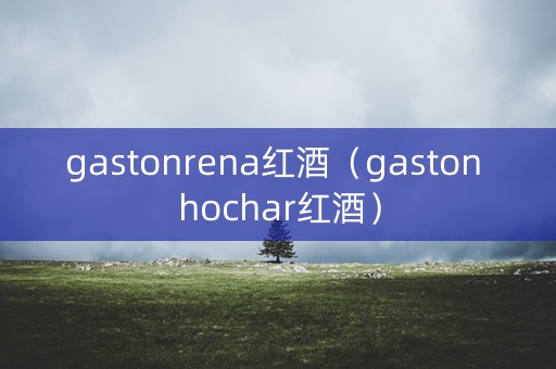 gastonrena红酒（gaston hochar红酒）