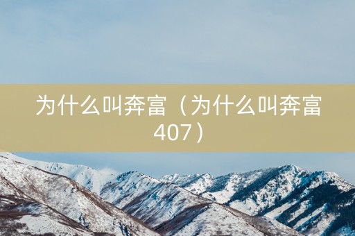 为什么叫奔富（为什么叫奔富407）