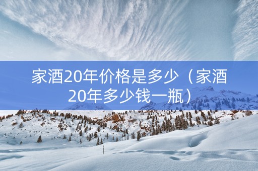 家酒20年价格是多少（家酒20年多少钱一瓶）