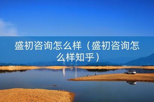 盛初咨询怎么样（盛初咨询怎么样知乎）