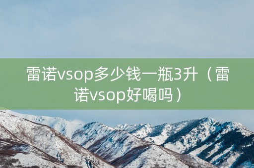 雷诺vsop多少钱一瓶3升（雷诺vsop好喝吗）