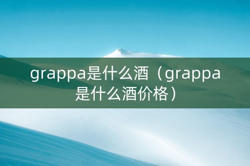 grappa是什么酒（grappa是什么酒价格）