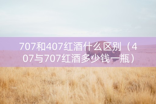 707和407红酒什么区别（407与707红酒多少钱一瓶）