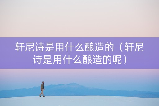 轩尼诗是用什么酿造的（轩尼诗是用什么酿造的呢）