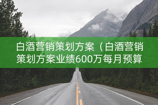 白酒营销策划方案（白酒营销策划方案业绩600万每月预算五万）