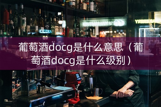 葡萄酒docg是什么意思（葡萄酒docg是什么级别）