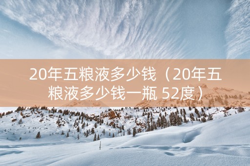 20年五粮液多少钱（20年五粮液多少钱一瓶 52度）