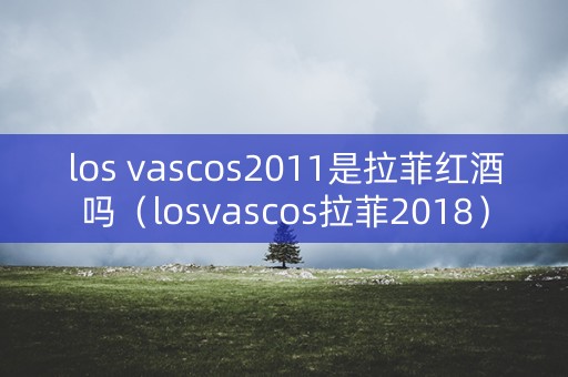 los vascos2011是拉菲红酒吗（losvascos拉菲2018）