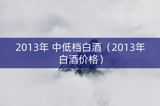 2013年 中低档白酒（2013年白酒价格）