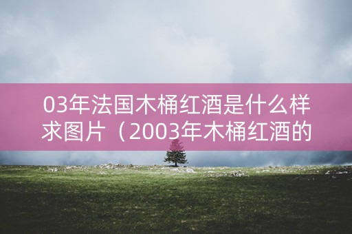 03年法国木桶红酒是什么样求图片（2003年木桶红酒的价格表）