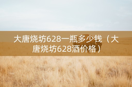 大唐烧坊628一瓶多少钱（大唐烧坊628酒价格）