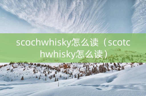 scochwhisky怎么读（scotchwhisky怎么读）