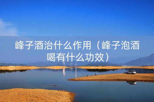 峰子酒治什么作用（峰子泡酒喝有什么功效）