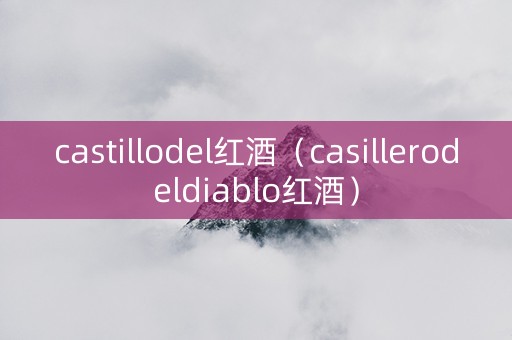 castillodel红酒（casillerodeldiablo红酒）