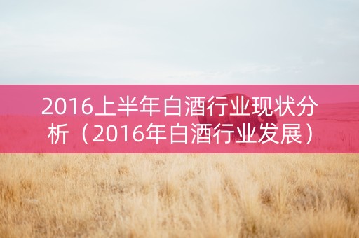 2016上半年白酒行业现状分析（2016年白酒行业发展）