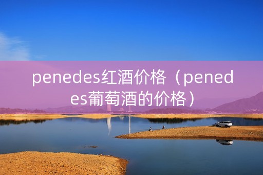 penedes红酒价格（penedes葡萄酒的价格）