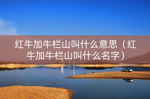 红牛加牛栏山叫什么意思（红牛加牛栏山叫什么名字）