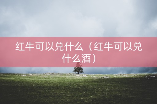 红牛可以兑什么（红牛可以兑什么酒）