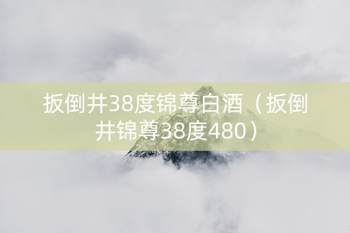 扳倒井38度锦尊白酒（扳倒井锦尊38度480）