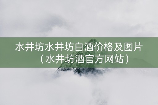 水井坊水井坊白酒价格及图片（水井坊酒官方网站）