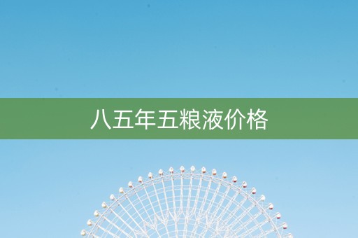 八五年五粮液价格