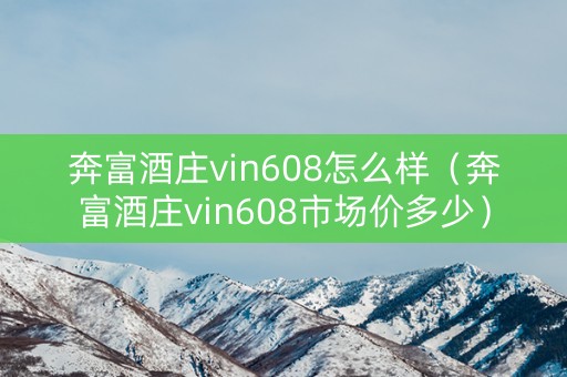 奔富酒庄vin608怎么样（奔富酒庄vin608市场价多少）