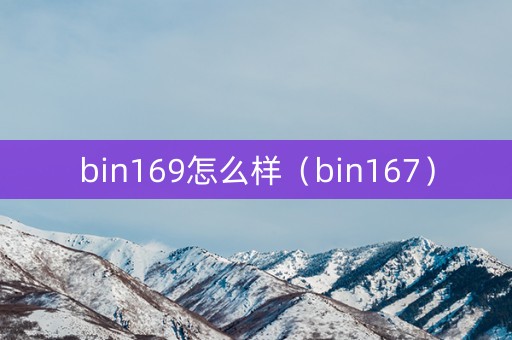 bin169怎么样（bin167）