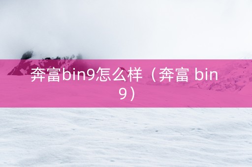 奔富bin9怎么样（奔富 bin 9）