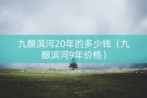 九酿滨河20年的多少钱（九酿滨河9年价格）