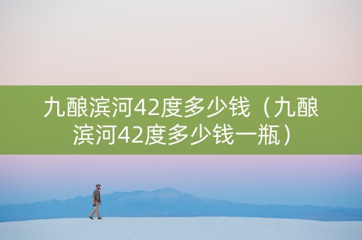 九酿滨河42度多少钱（九酿滨河42度多少钱一瓶）