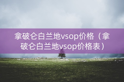 拿破仑白兰地vsop价格（拿破仑白兰地vsop价格表）