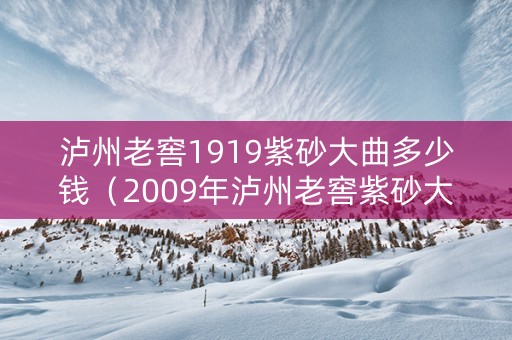 泸州老窖1919紫砂大曲多少钱（2009年泸州老窖紫砂大曲）