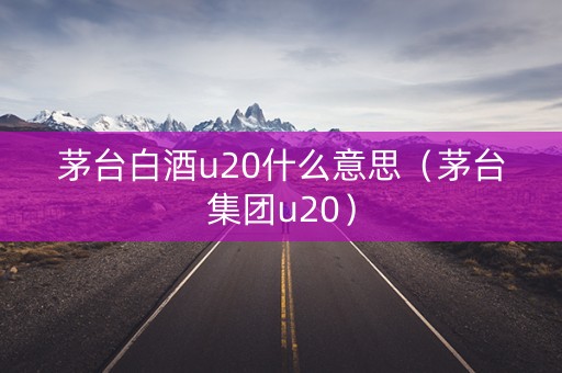 茅台白酒u20什么意思（茅台集团u20）