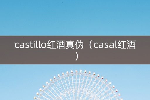 castillo红酒真伪（casal红酒）