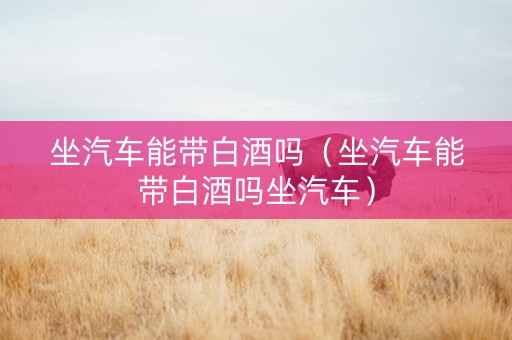 坐汽车能带白酒吗（坐汽车能带白酒吗坐汽车）