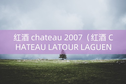 红酒 chateau 2007（红酒 CHATEAU LATOUR LAGUENS）