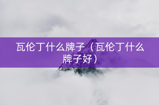 瓦伦丁什么牌子（瓦伦丁什么牌子好）